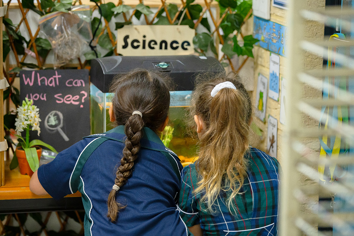 /uploaded_files/media/gallery/17739050822025 Kinross PS_086.jpg